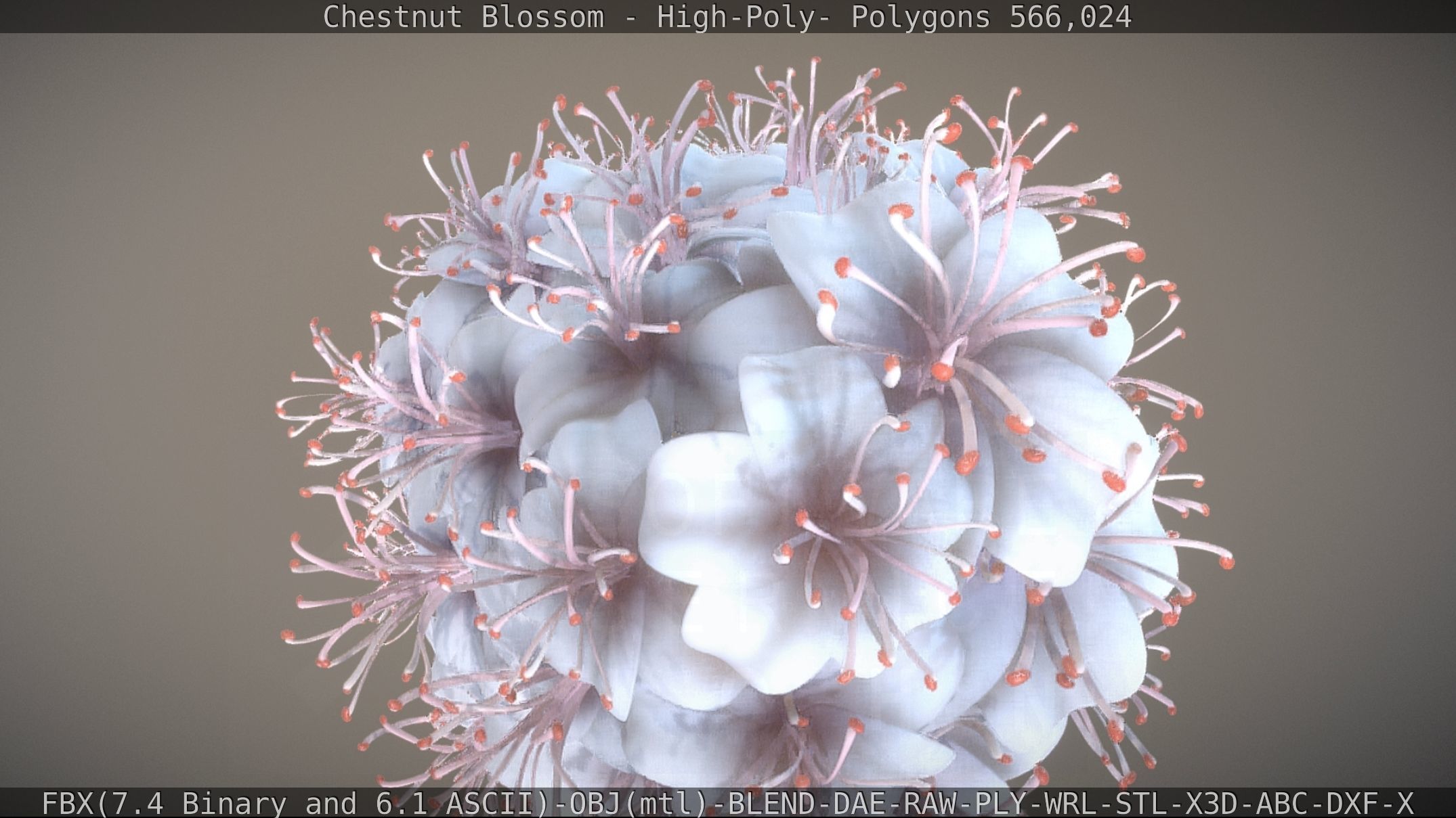 Chestnut Blossom High-Poly 3D model_47