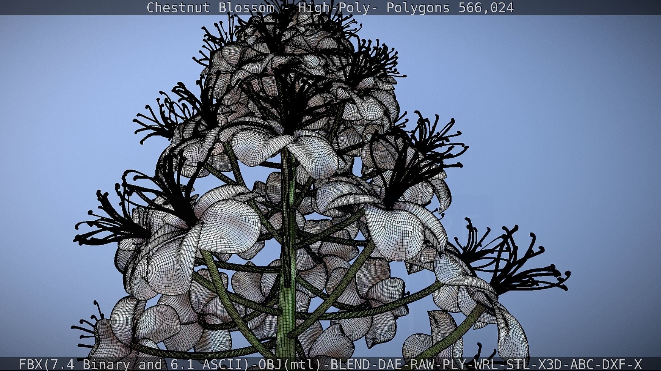 Chestnut Blossom High-Poly 3D model_73