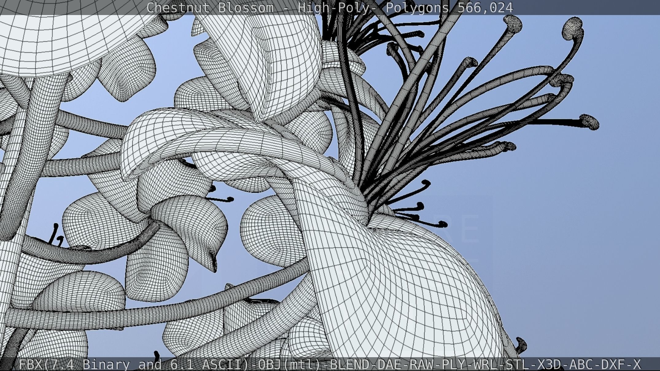 Chestnut Blossom High-Poly 3D model_126