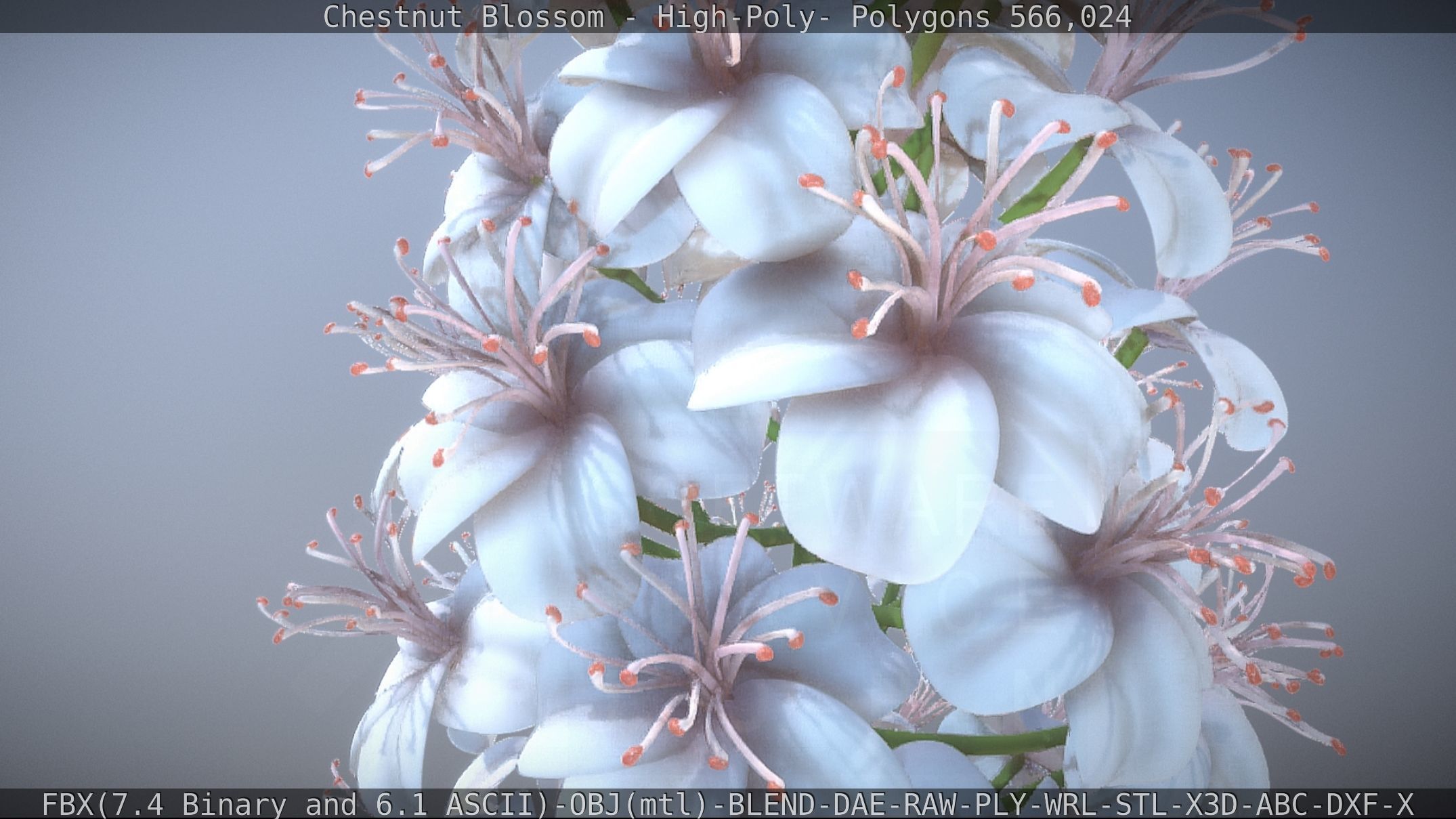 Chestnut Blossom High-Poly 3D model_41