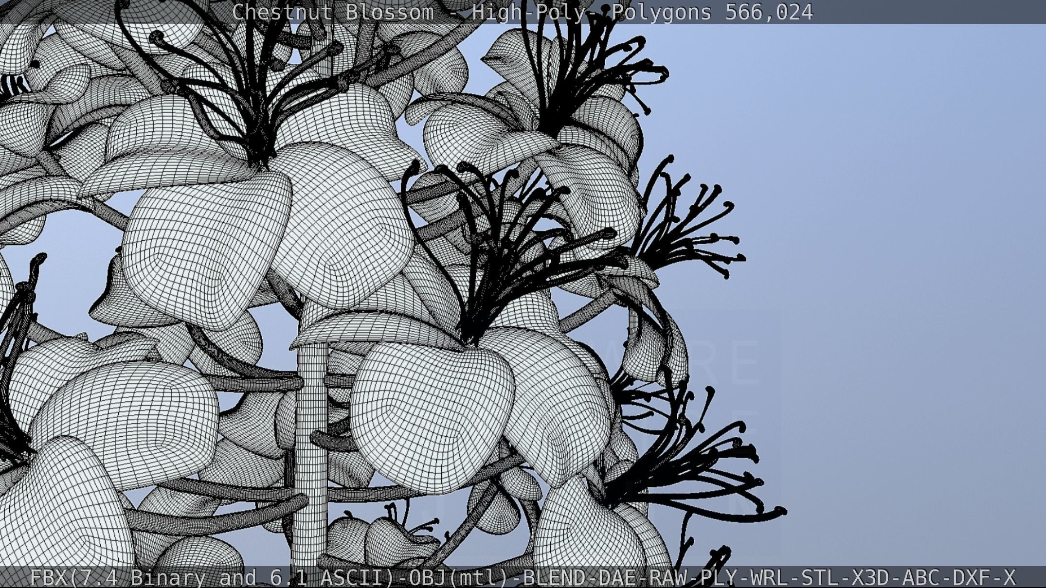 Chestnut Blossom High-Poly 3D model_129