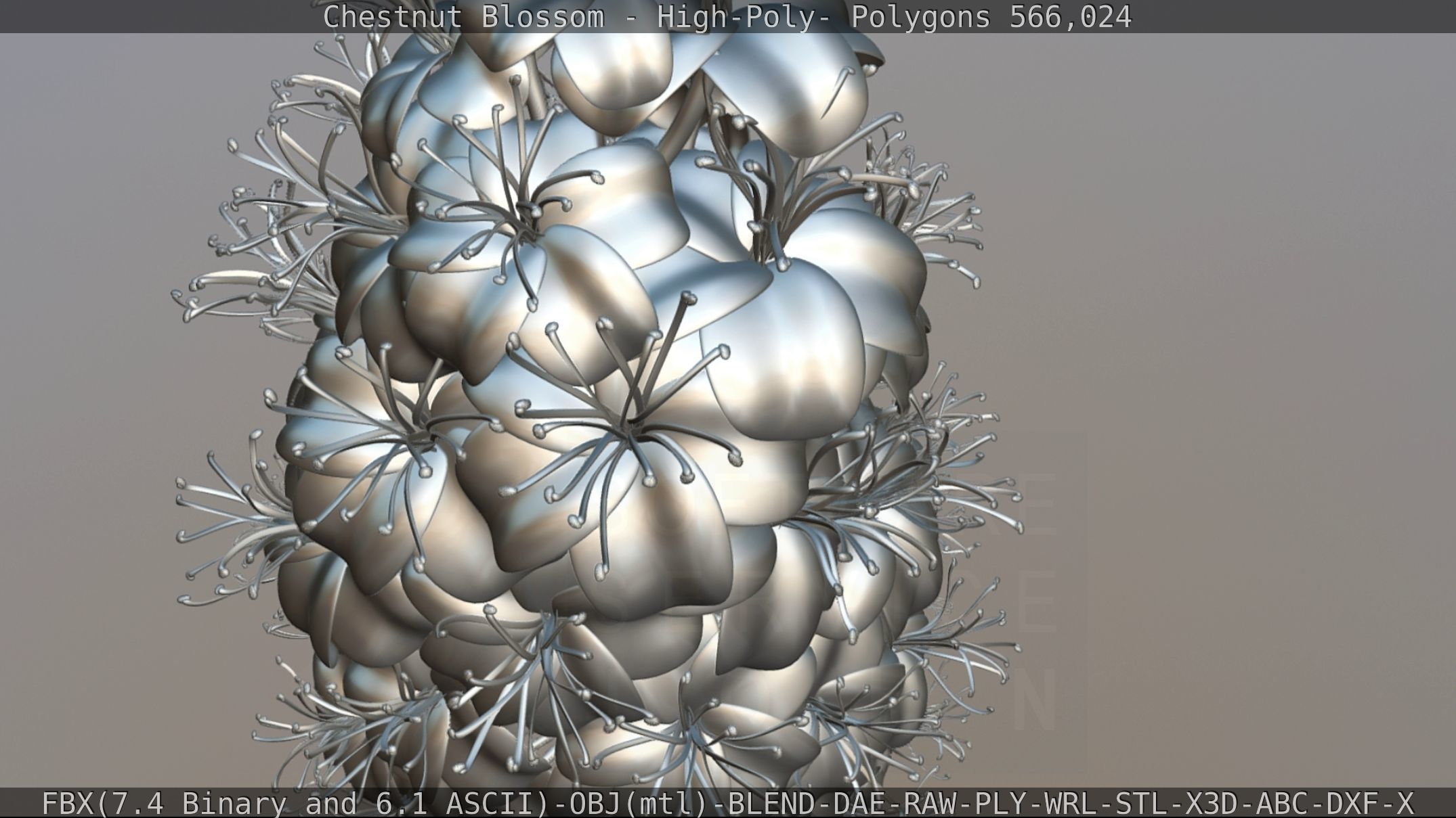 Chestnut Blossom High-Poly 3D model_115