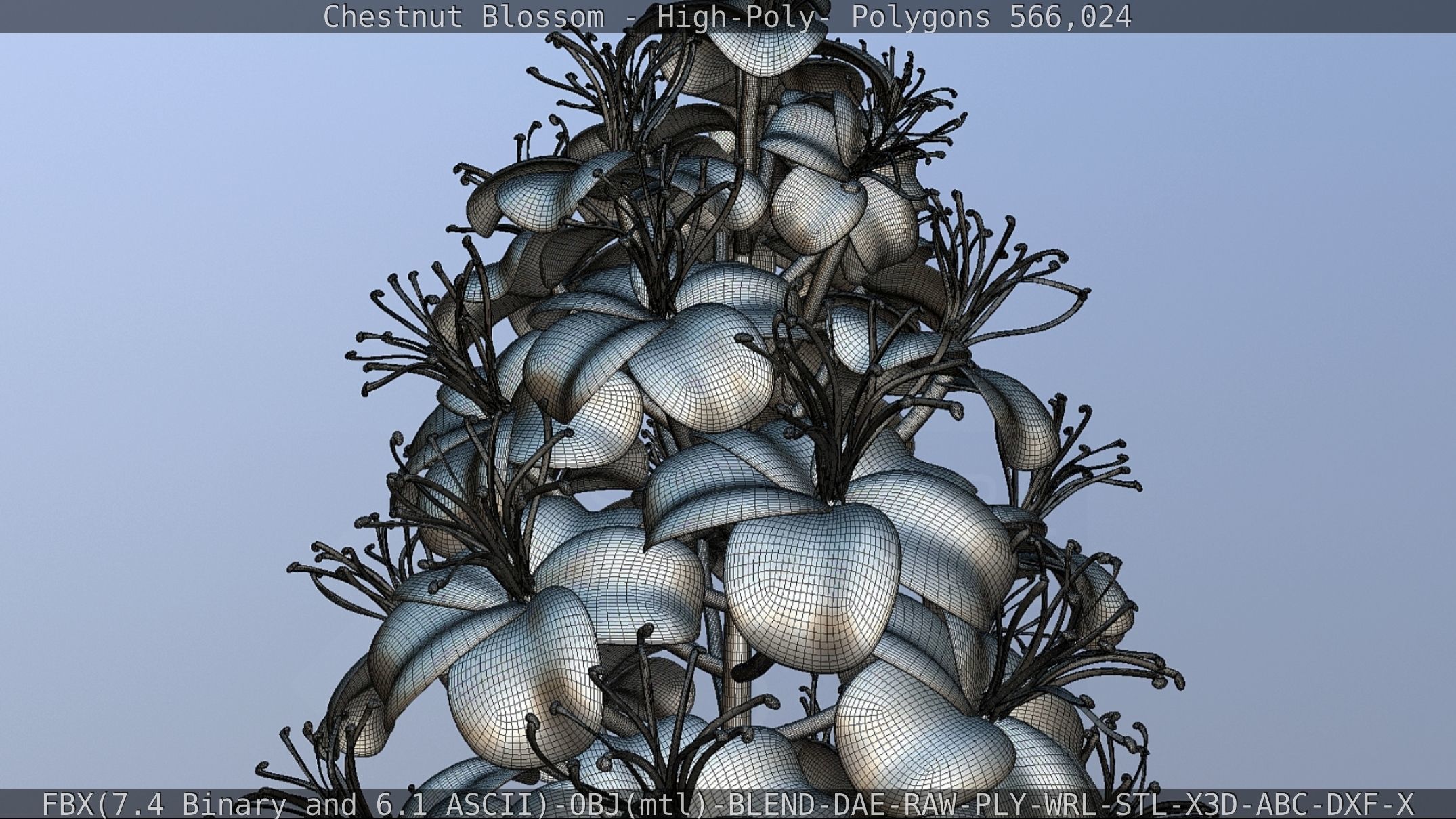 Chestnut Blossom High-Poly 3D model_91