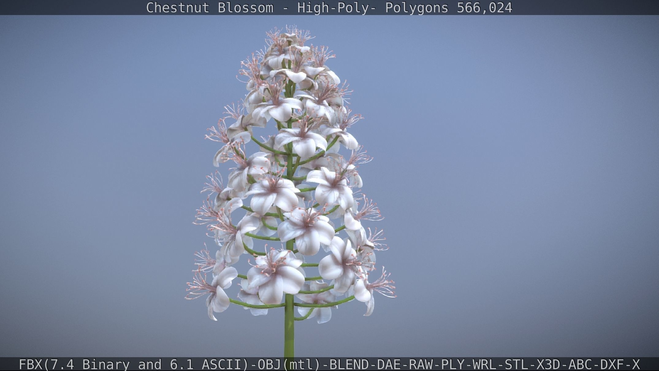 Chestnut Blossom High-Poly 3D model_29