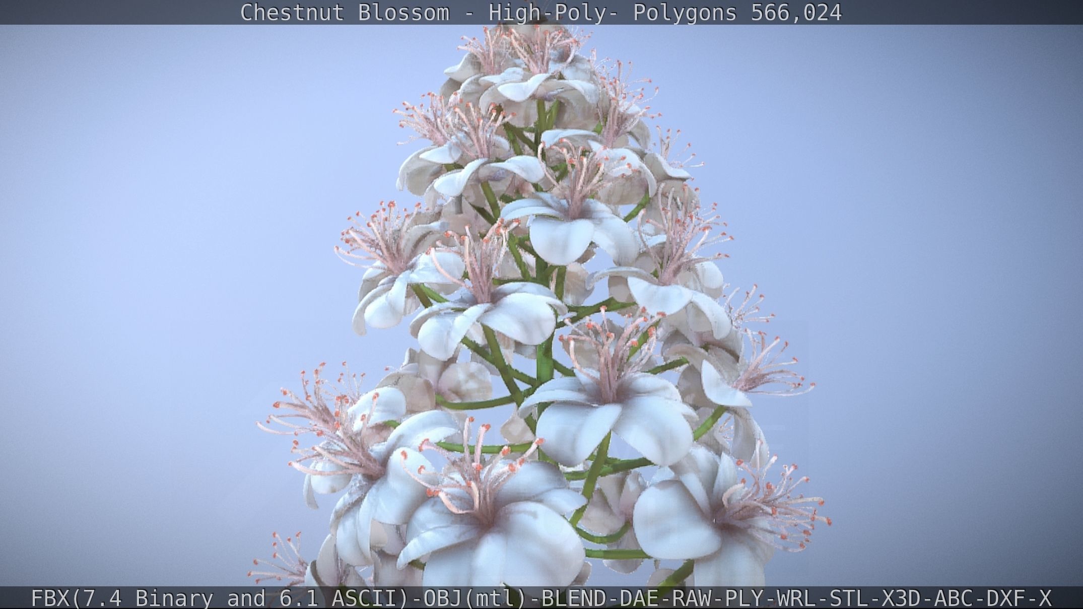 Chestnut Blossom High-Poly 3D model_17