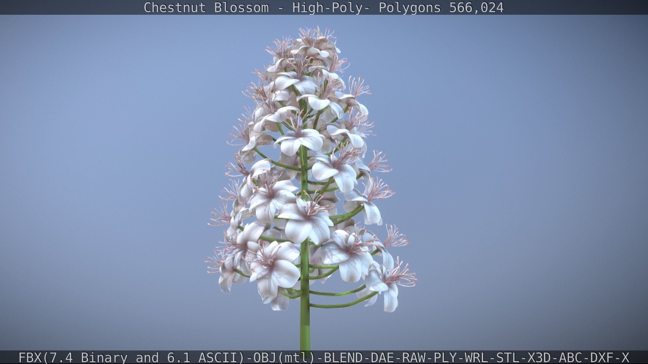 Chestnut Blossom High-Poly 3D model_4
