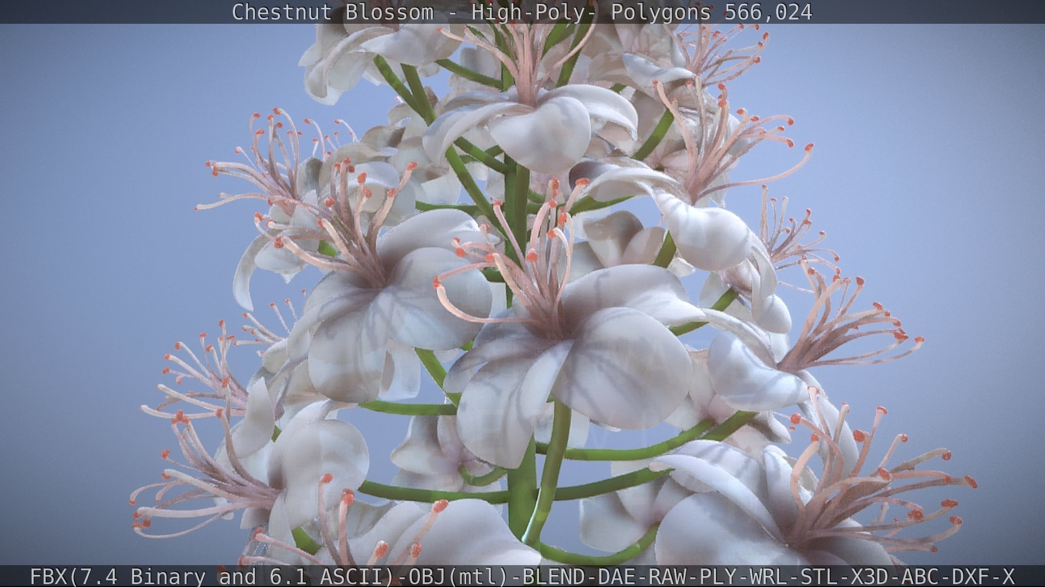 Chestnut Blossom High-Poly 3D model_21