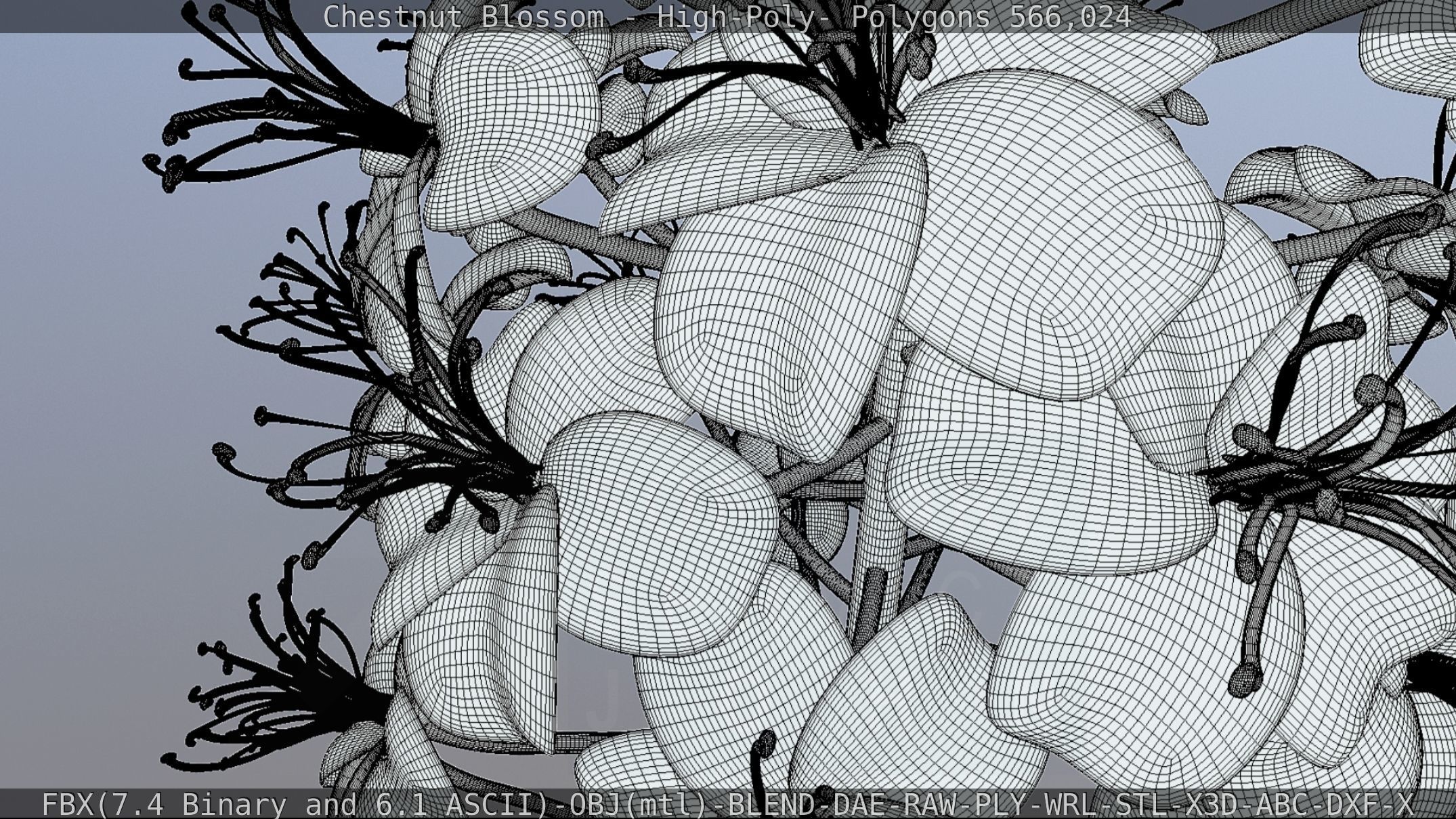 Chestnut Blossom High-Poly 3D model_128