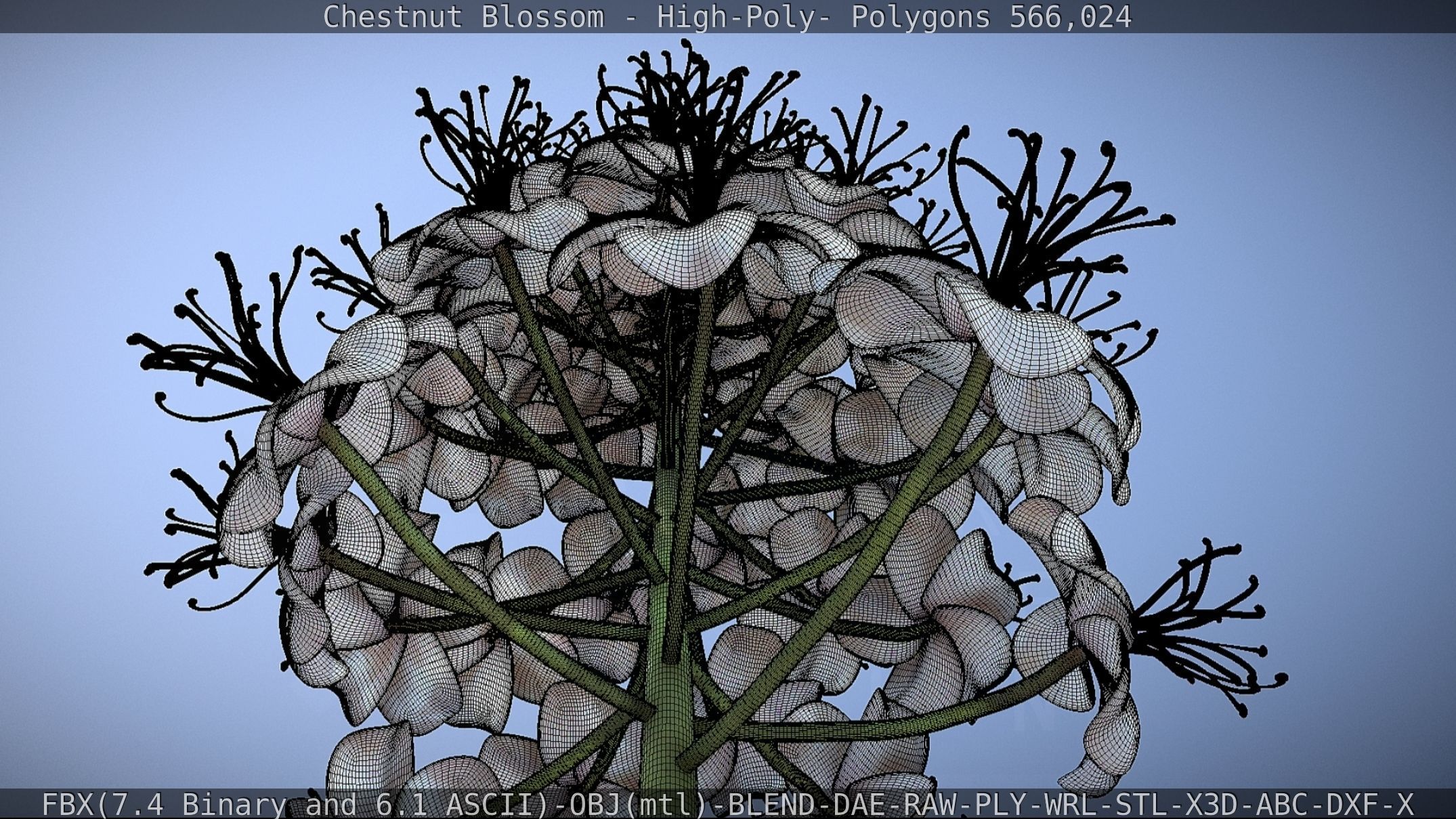 Chestnut Blossom High-Poly 3D model_75