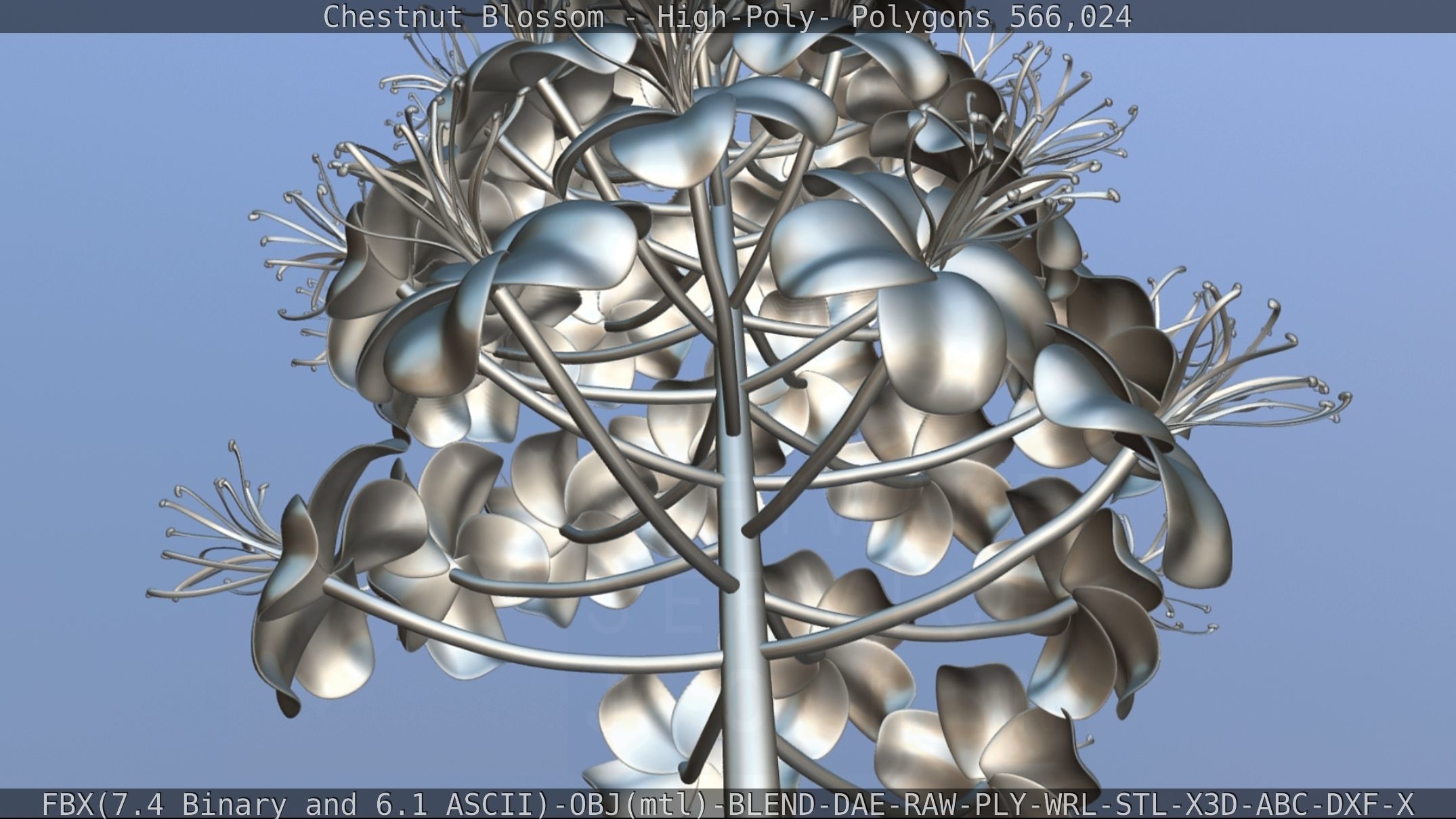 Chestnut Blossom High-Poly 3D model_119