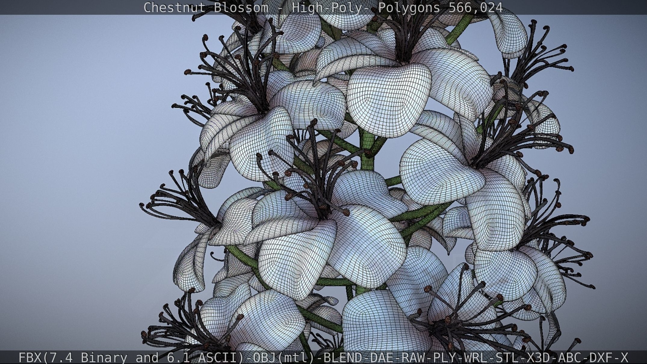 Chestnut Blossom High-Poly 3D model_68