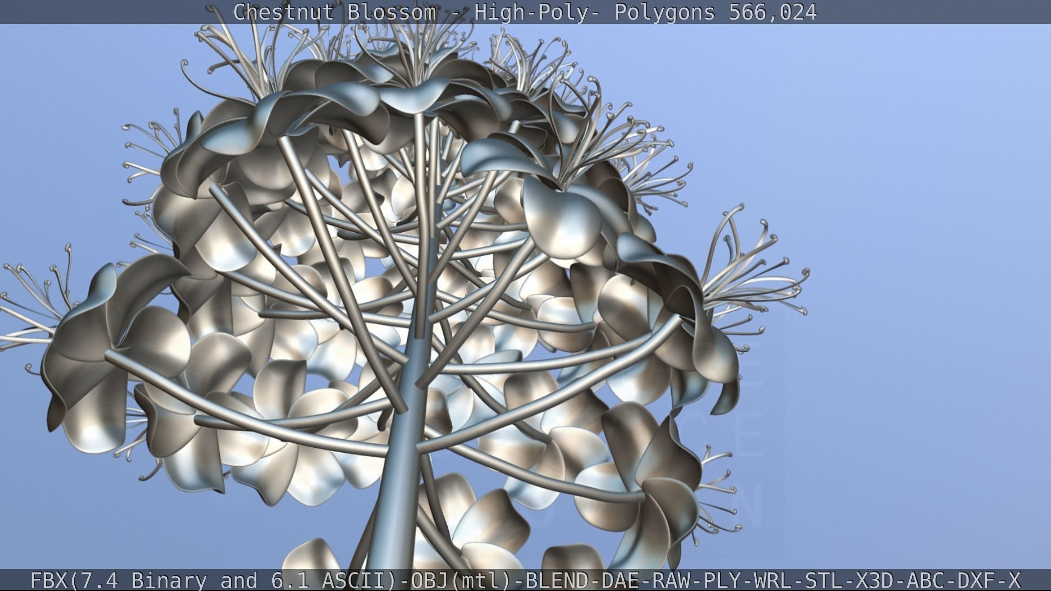 Chestnut Blossom High-Poly 3D model_100