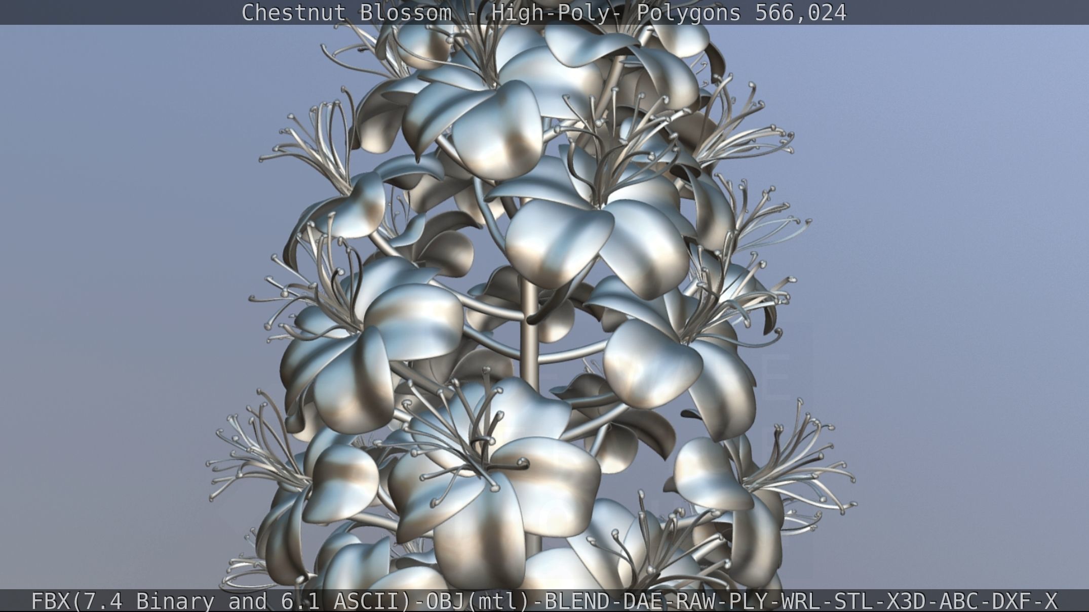 Chestnut Blossom High-Poly 3D model_97