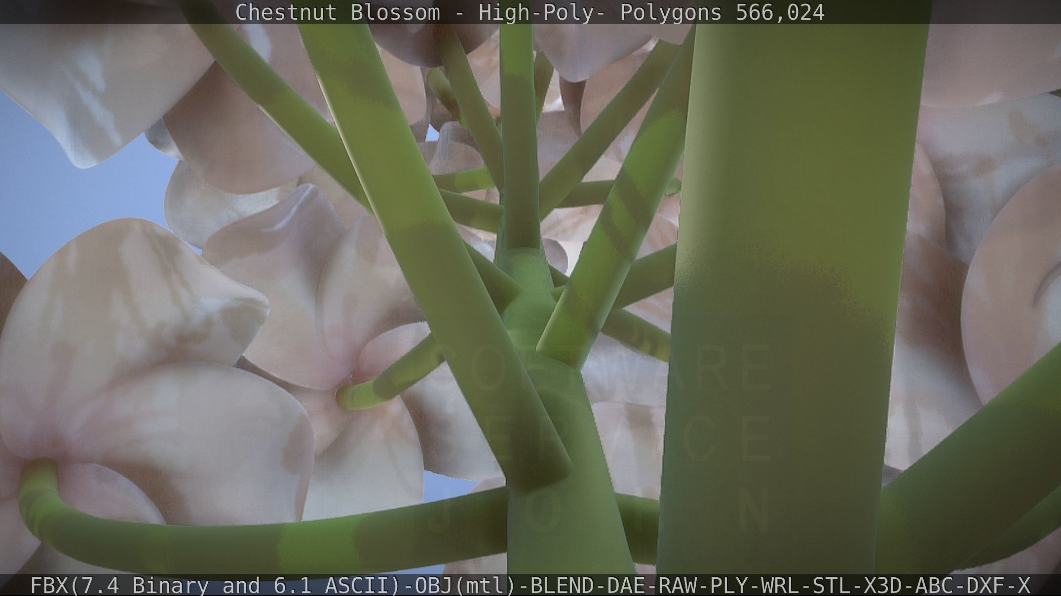 Chestnut Blossom High-Poly 3D model_33