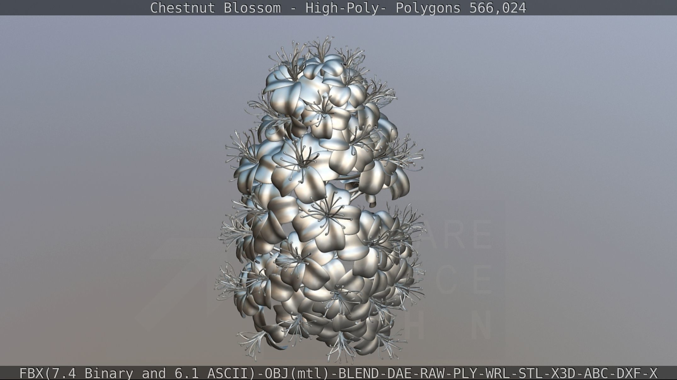 Chestnut Blossom High-Poly 3D model_95