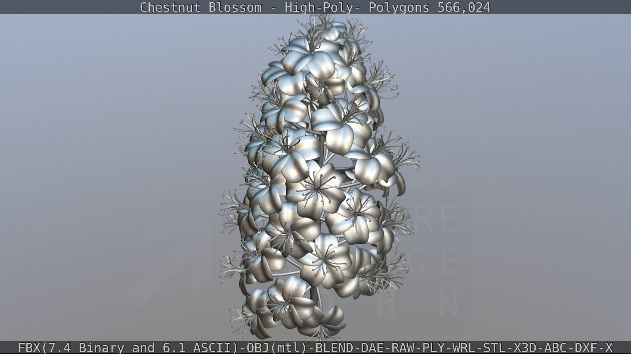 Chestnut Blossom High-Poly 3D model_94
