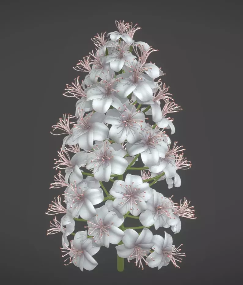 Chestnut Blossom High-Poly 3D model_0