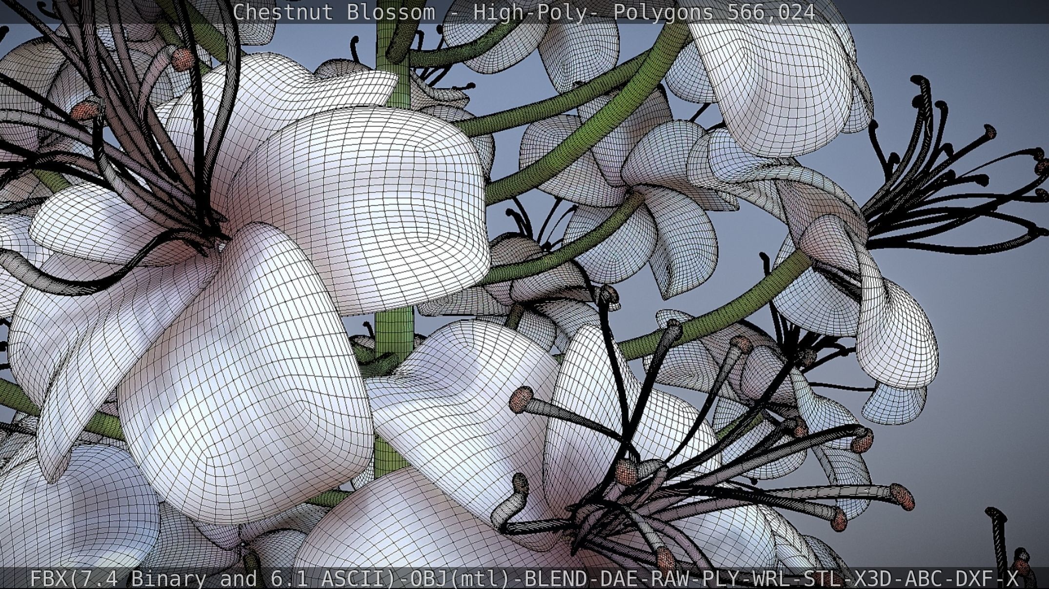 Chestnut Blossom High-Poly 3D model_76