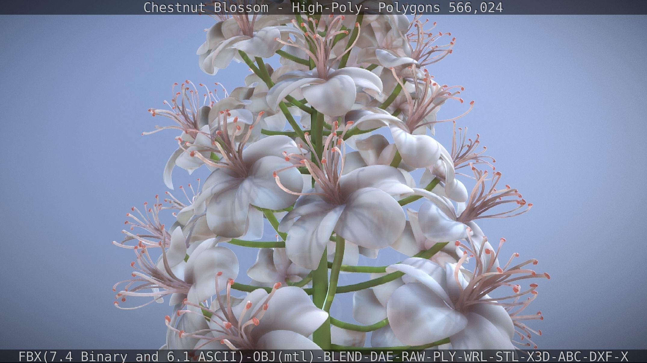Chestnut Blossom High-Poly 3D model_59
