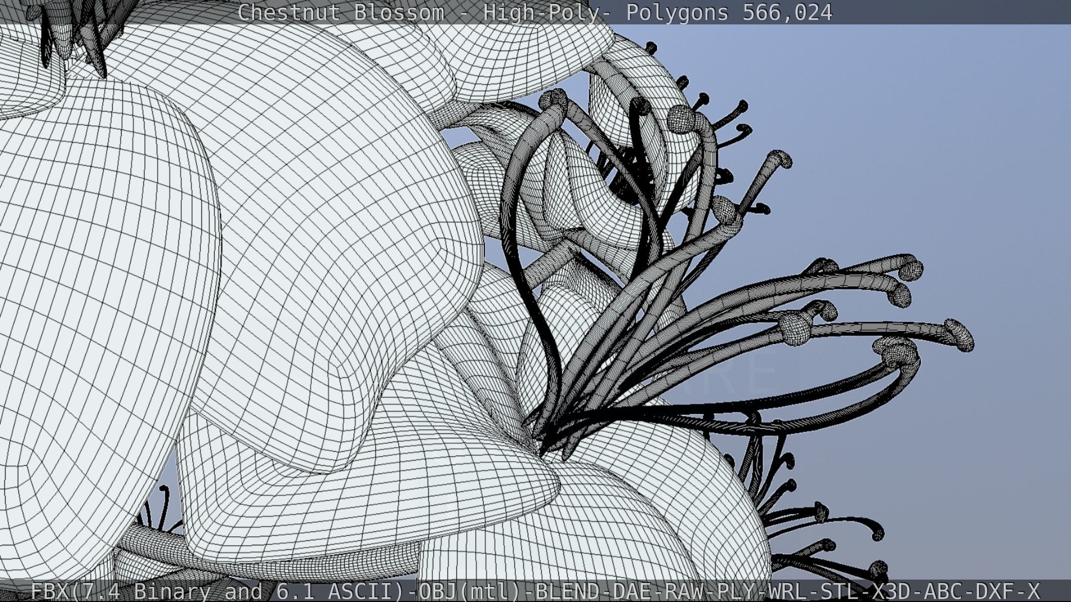 Chestnut Blossom High-Poly 3D model_125