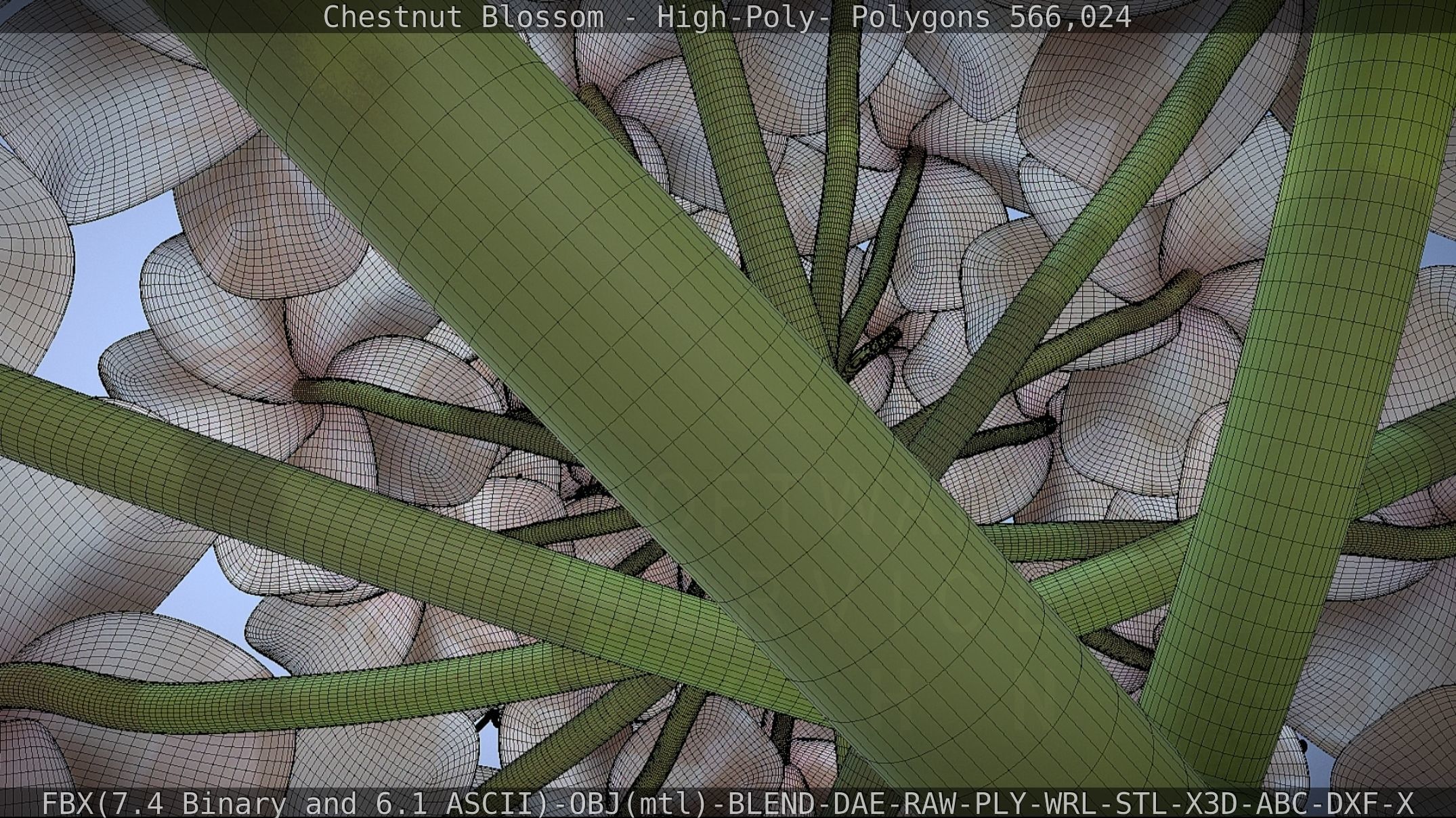 Chestnut Blossom High-Poly 3D model_72