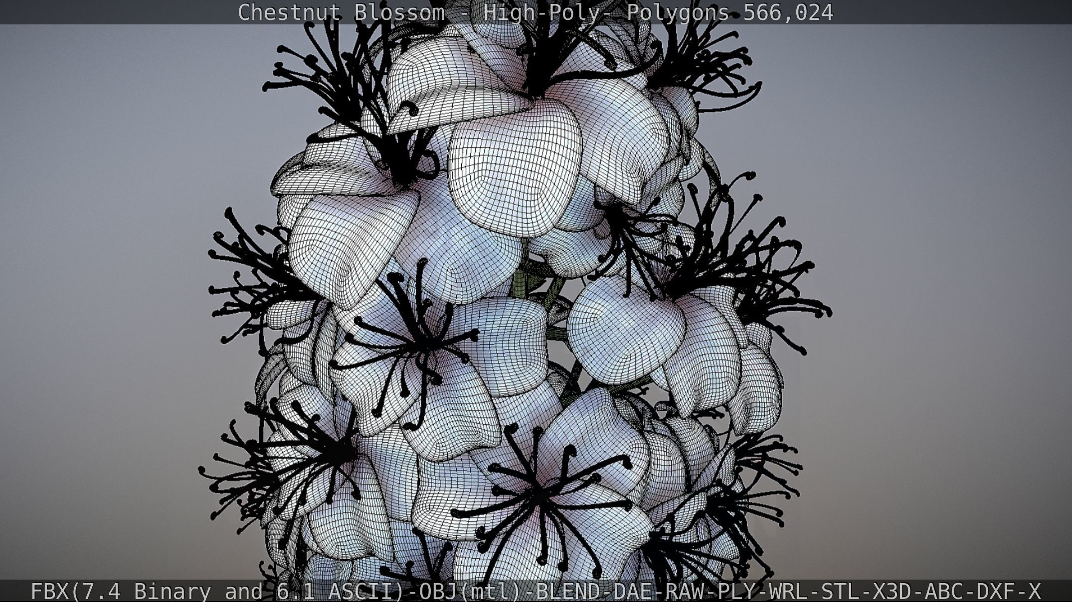 Chestnut Blossom High-Poly 3D model_83
