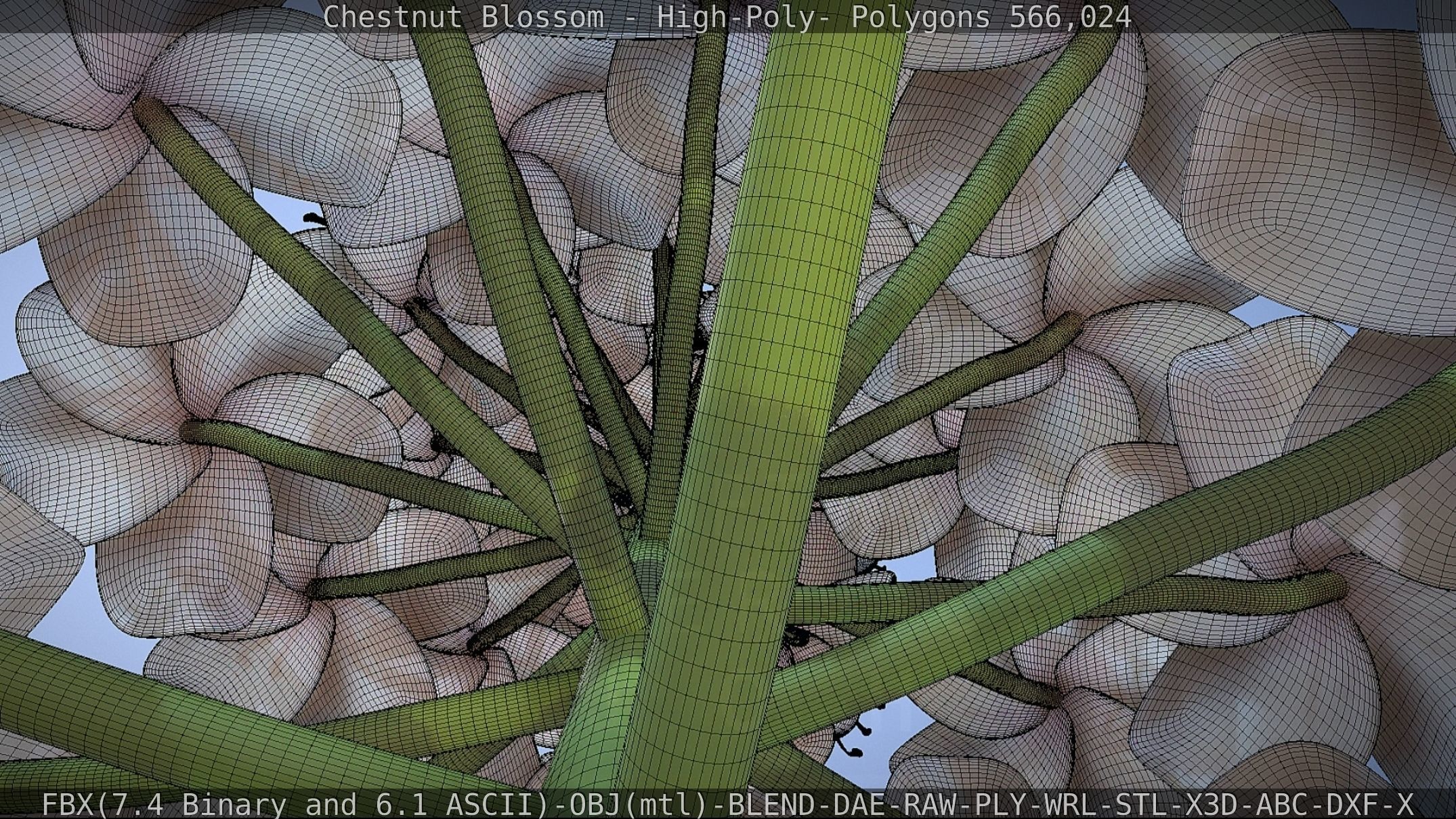 Chestnut Blossom High-Poly 3D model_71