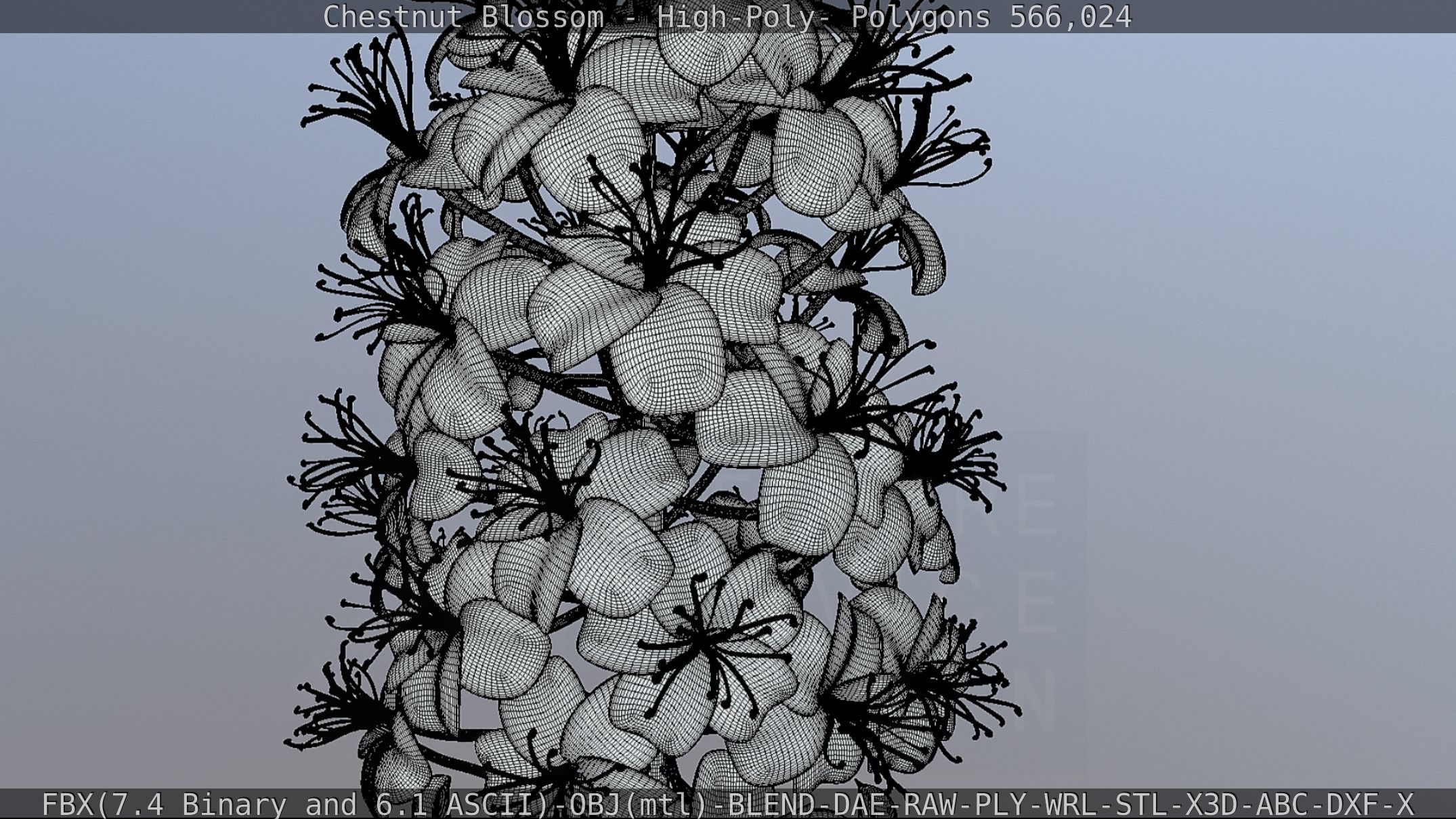 Chestnut Blossom High-Poly 3D model_130