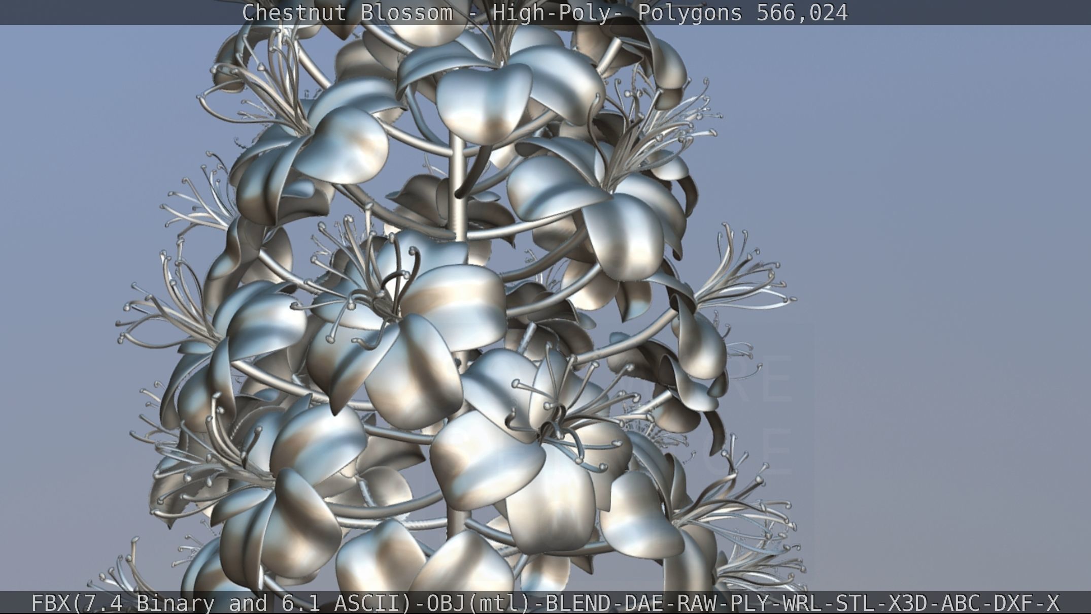 Chestnut Blossom High-Poly 3D model_116