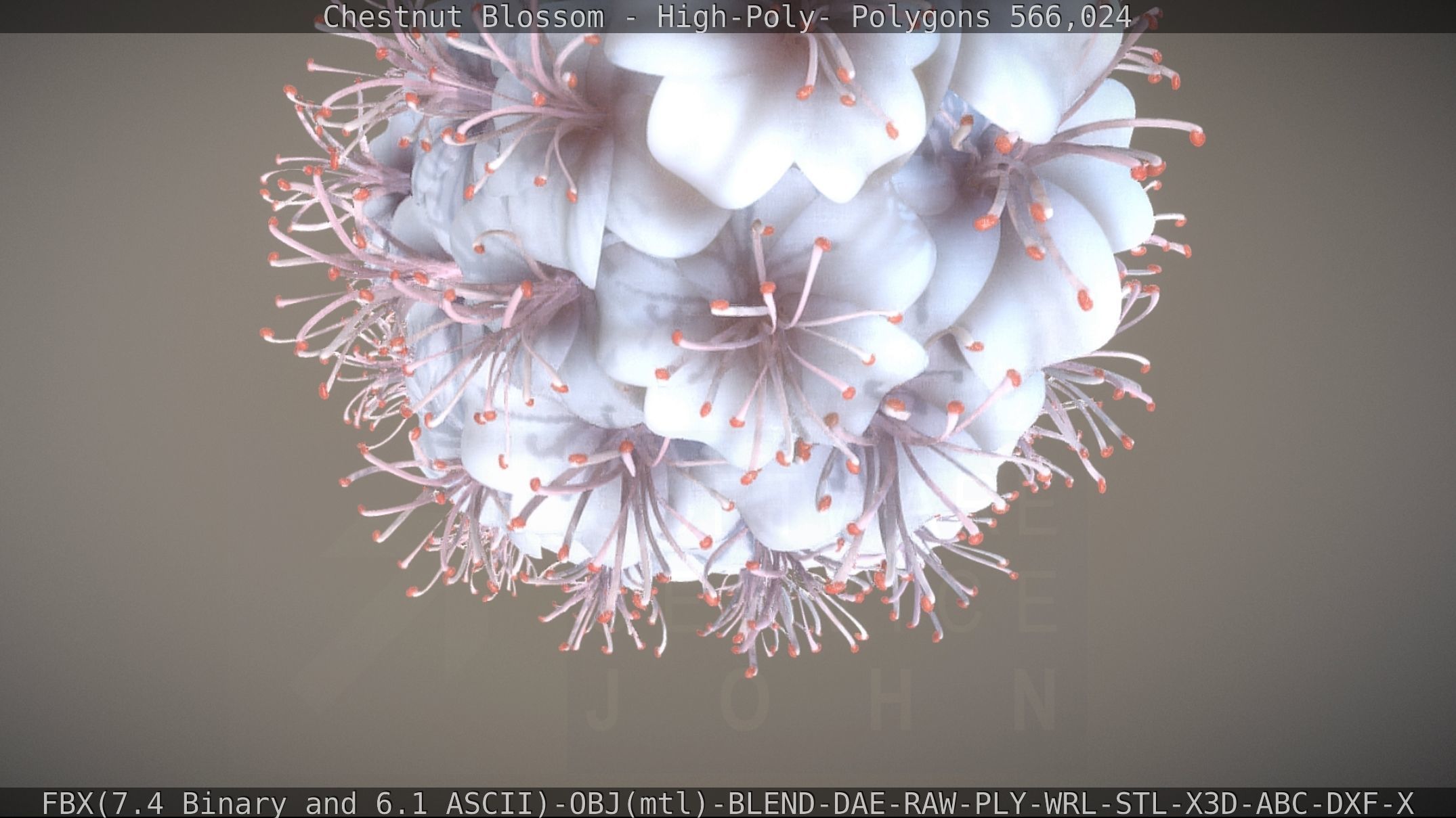 Chestnut Blossom High-Poly 3D model_44