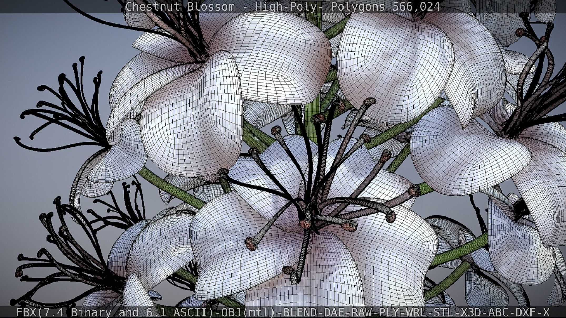 Chestnut Blossom High-Poly 3D model_6