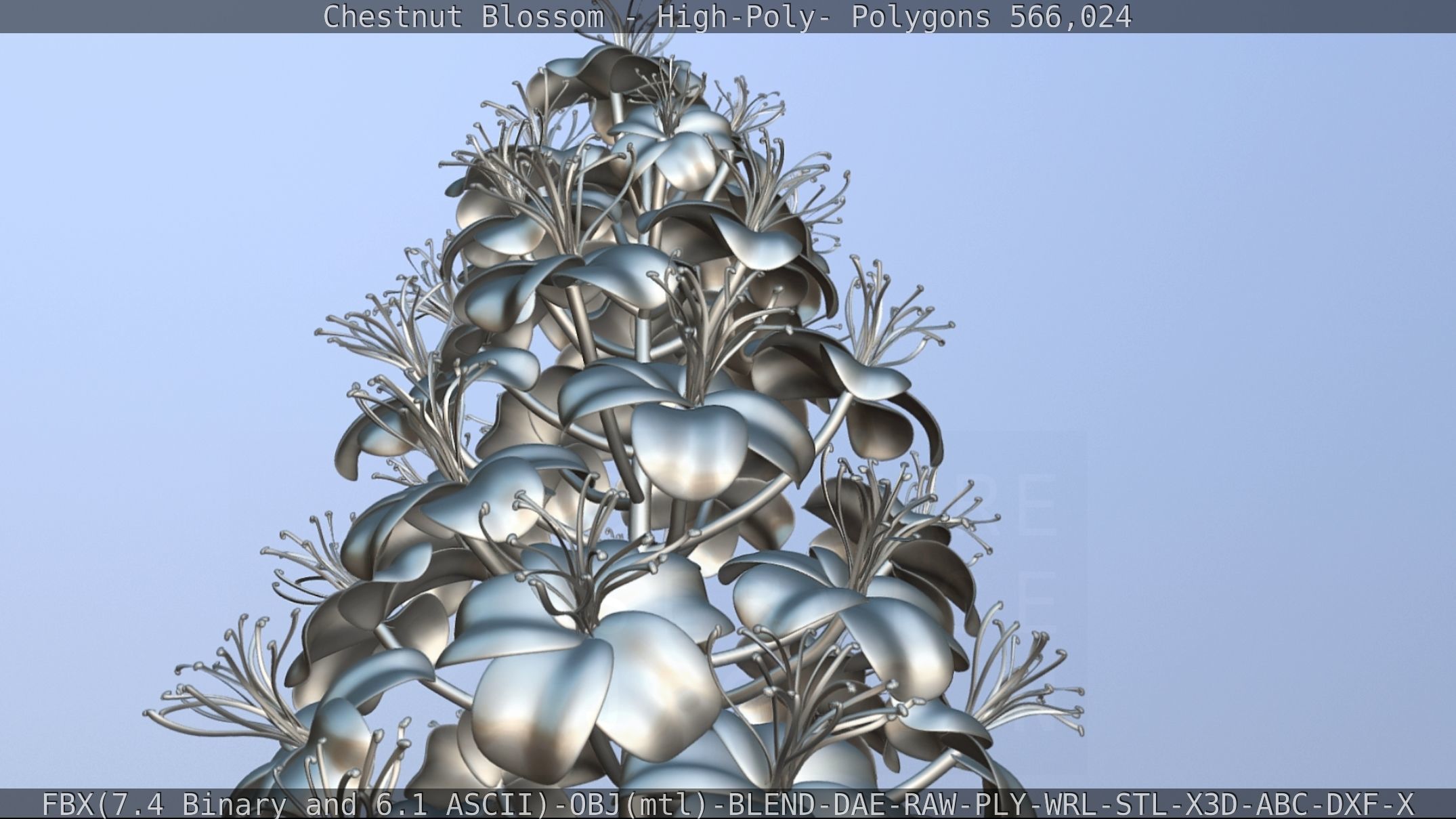 Chestnut Blossom High-Poly 3D model_104