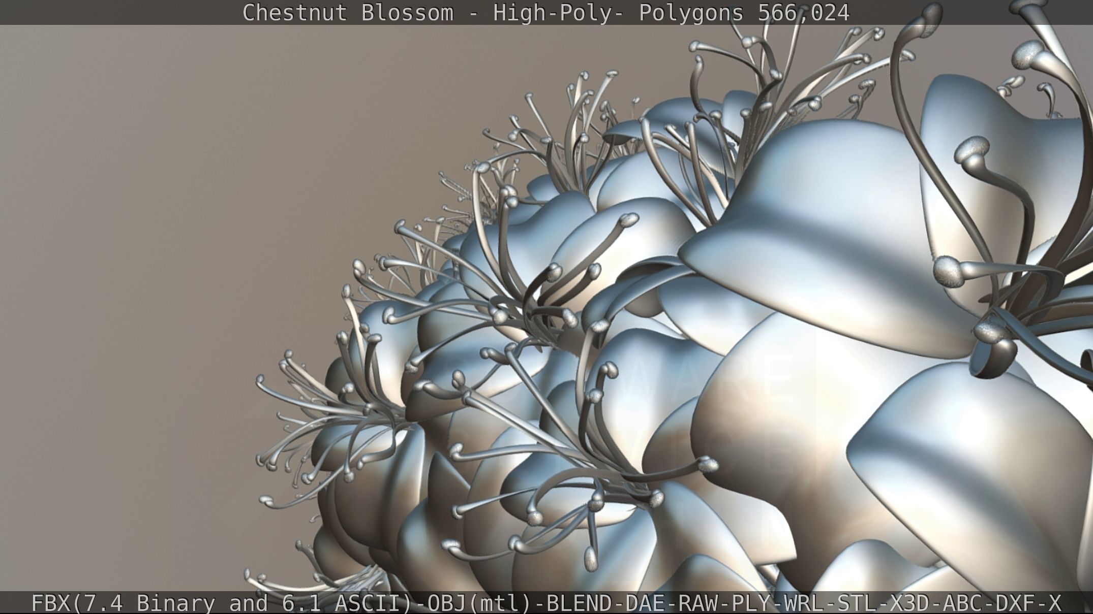 Chestnut Blossom High-Poly 3D model_117