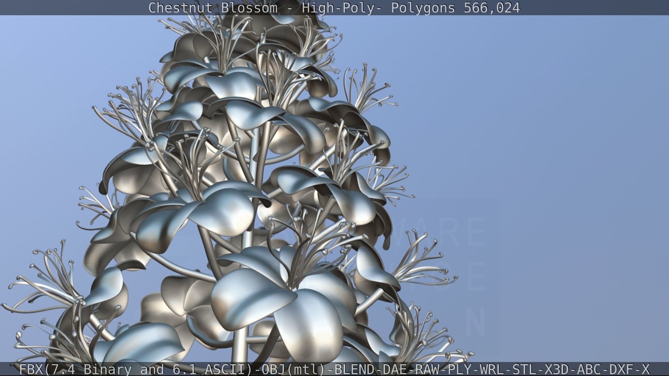 Chestnut Blossom High-Poly 3D model_105