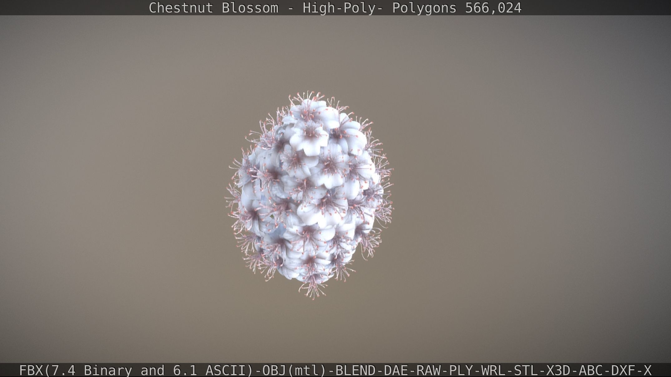 Chestnut Blossom High-Poly 3D model_2