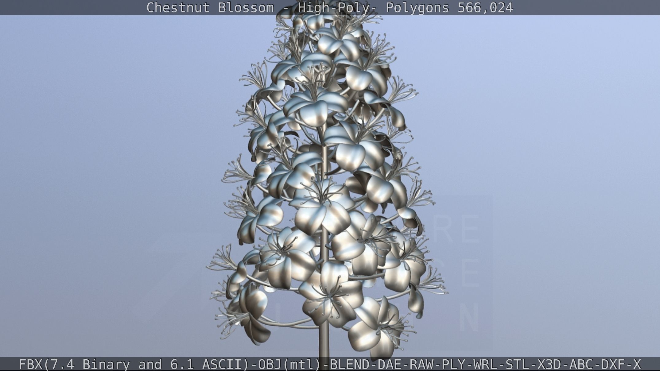 Chestnut Blossom High-Poly 3D model_9