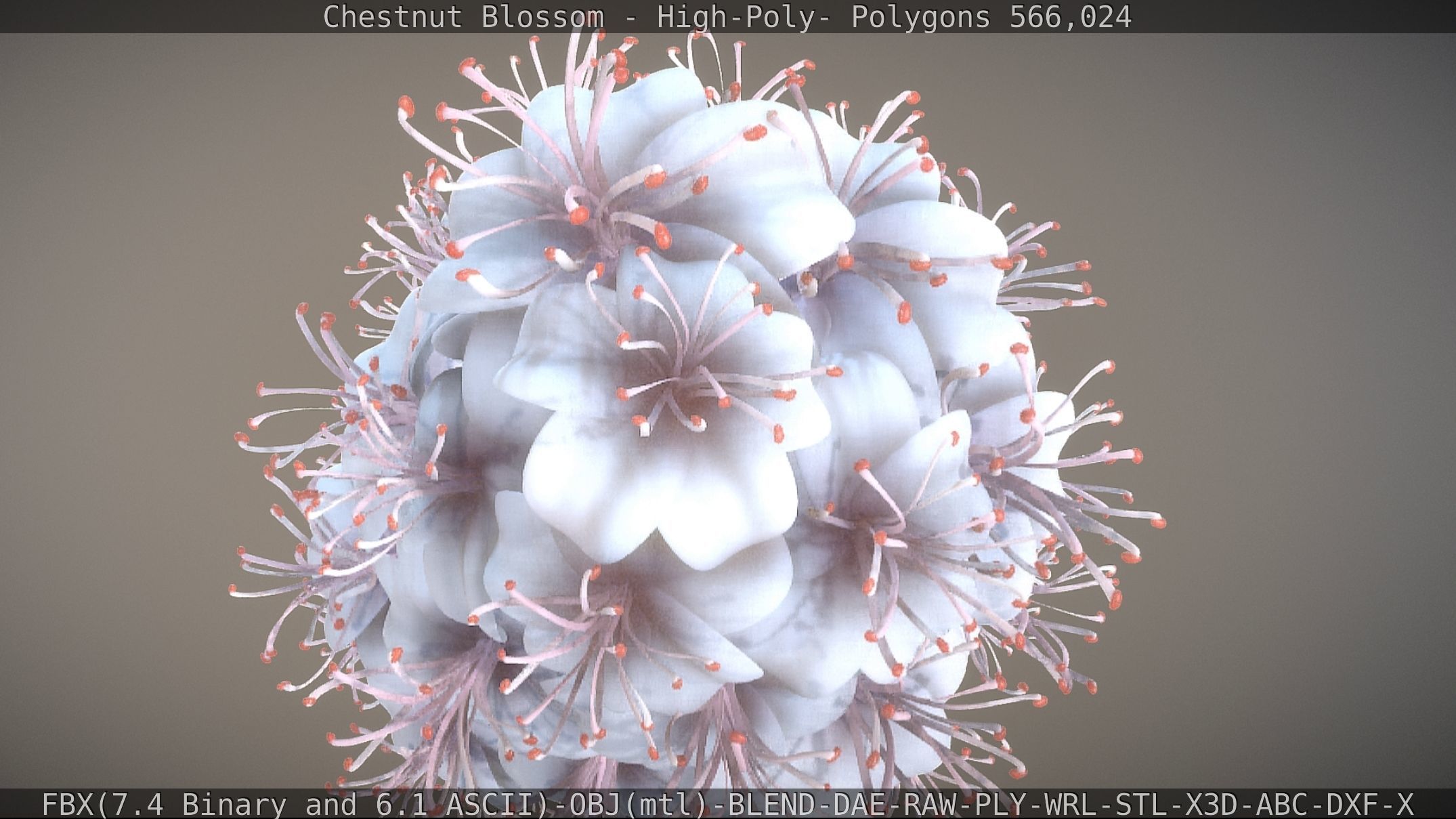 Chestnut Blossom High-Poly 3D model_11