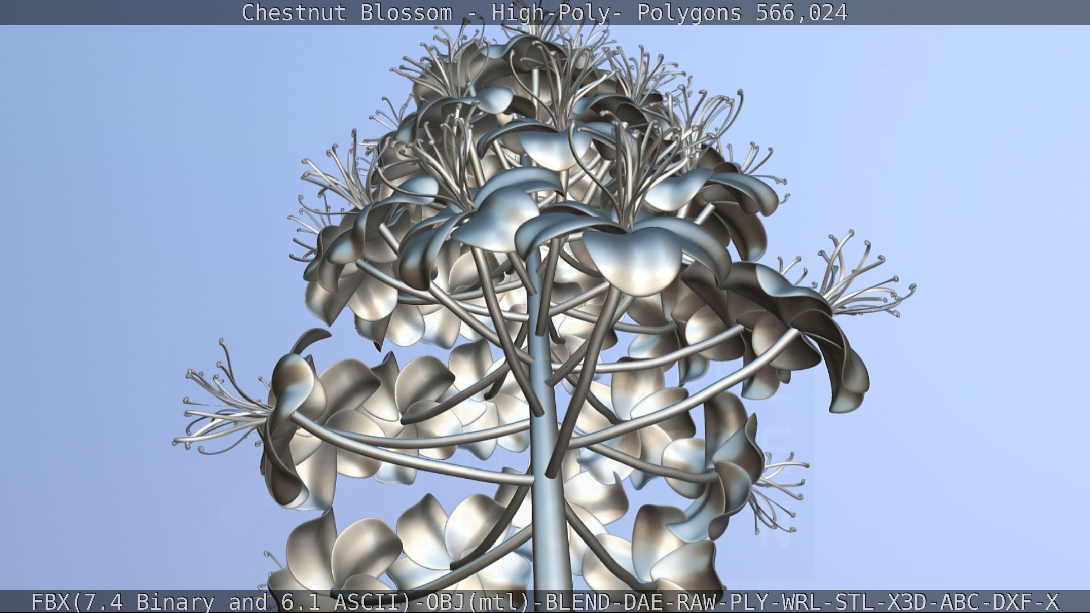 Chestnut Blossom High-Poly 3D model_96