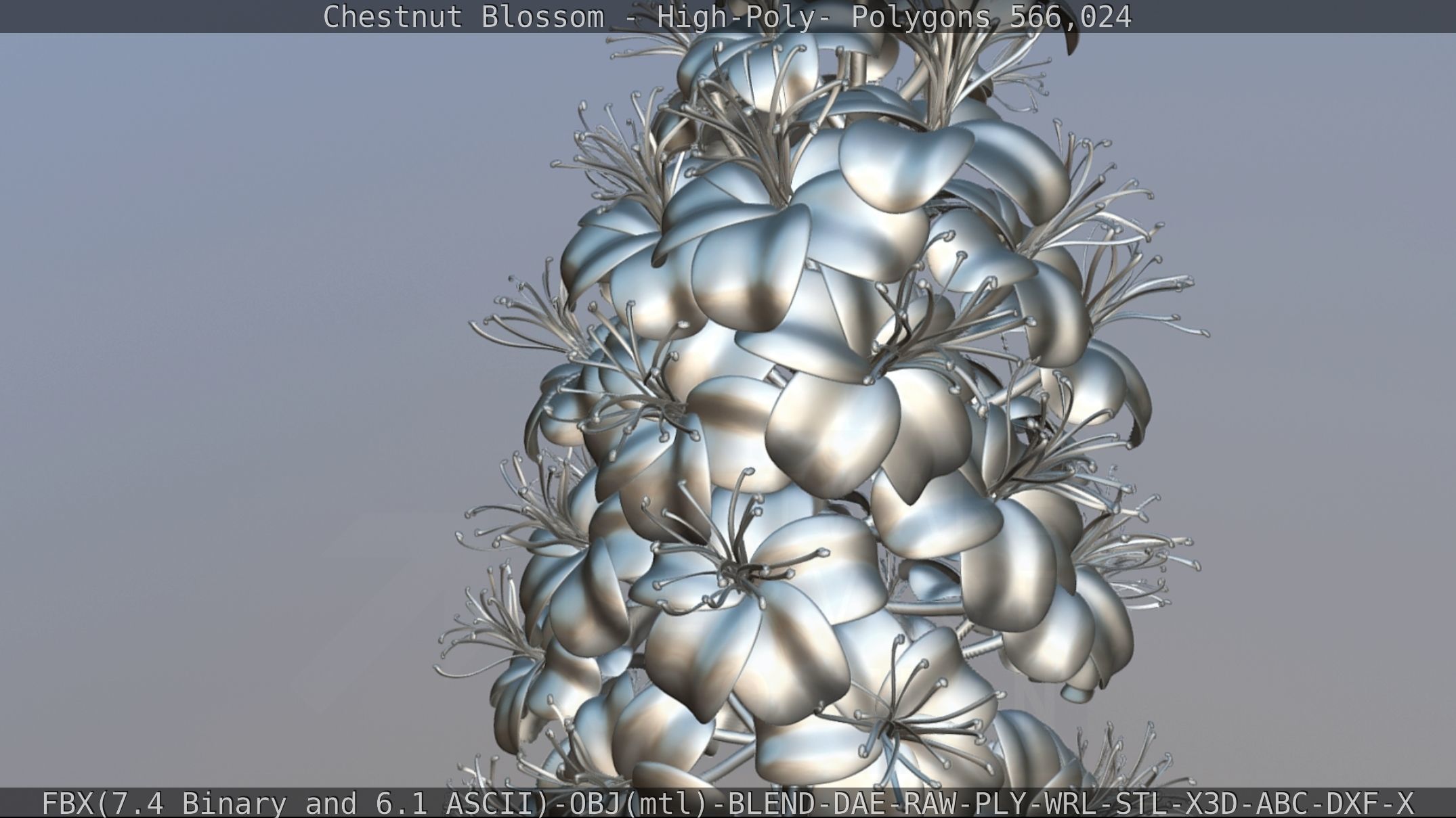 Chestnut Blossom High-Poly 3D model_108
