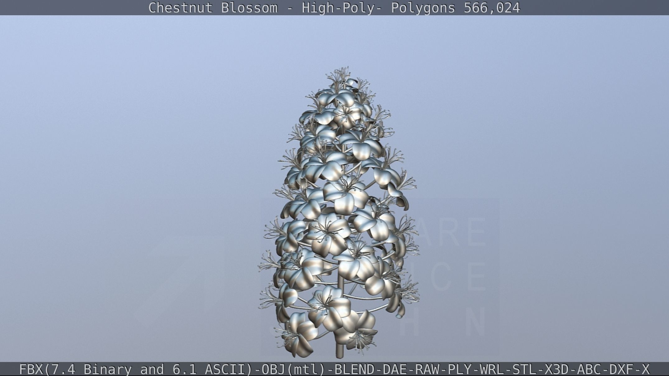 Chestnut Blossom High-Poly 3D model_89