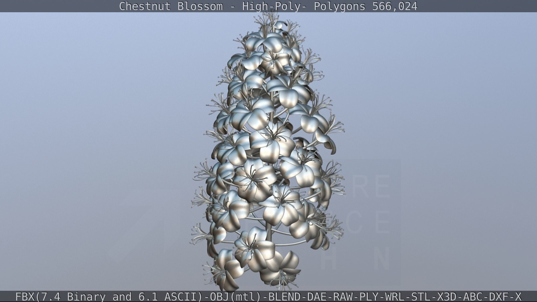 Chestnut Blossom High-Poly 3D model_93
