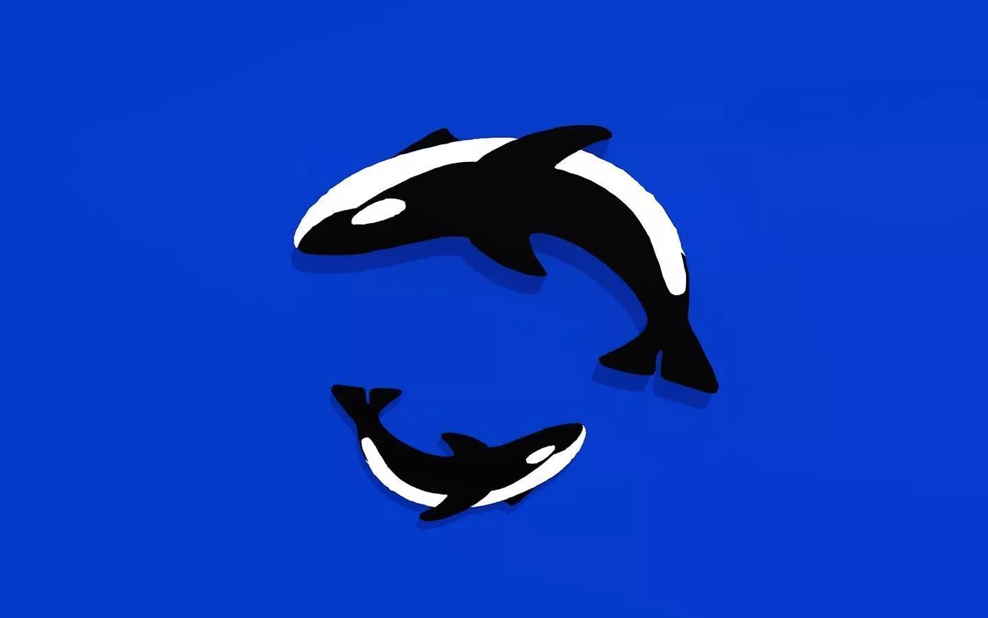 Orca mother is son Free 3D model