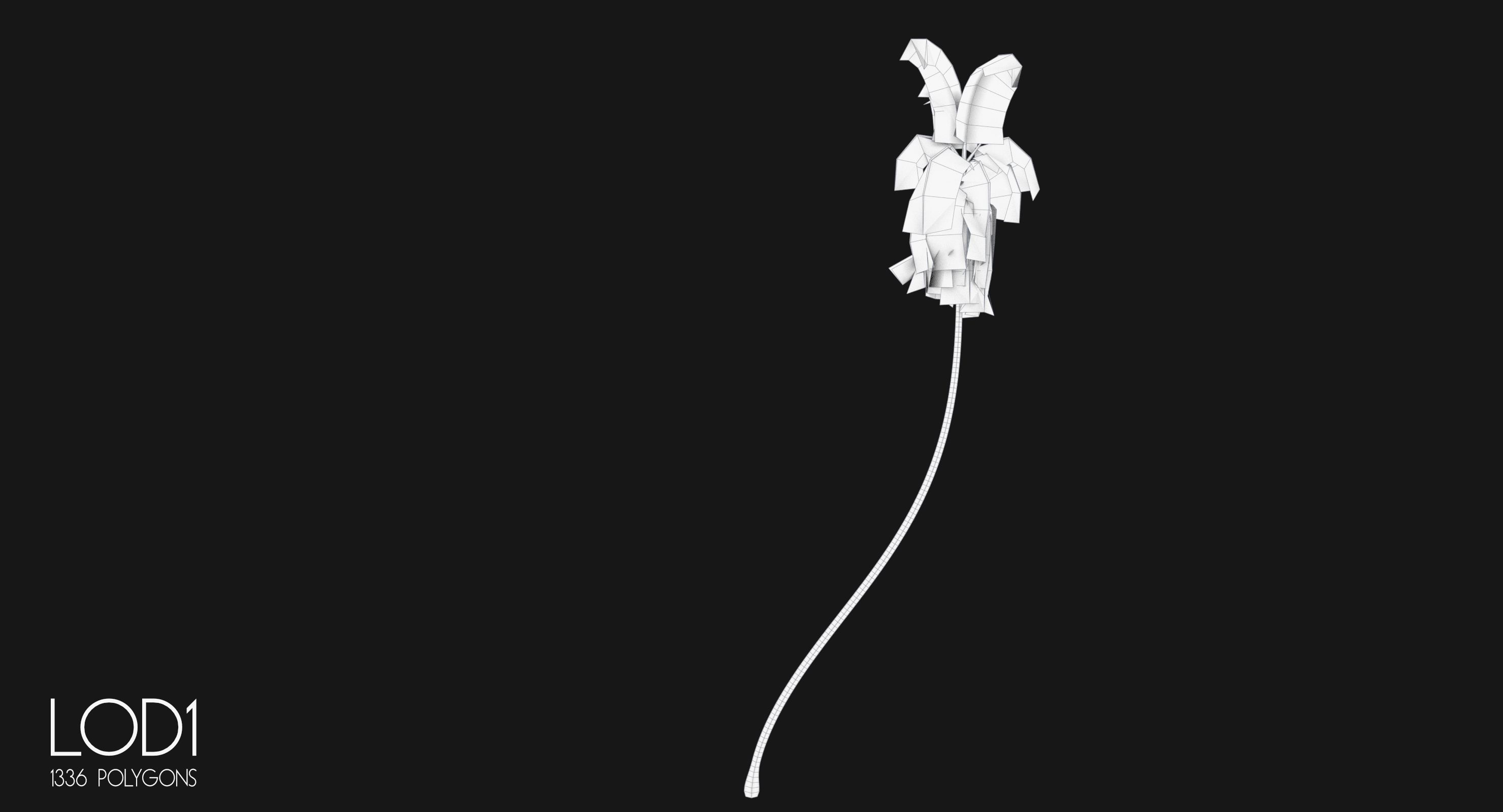 Cocos Nucifera 3698 - Health Collection Low-poly 3D model_16