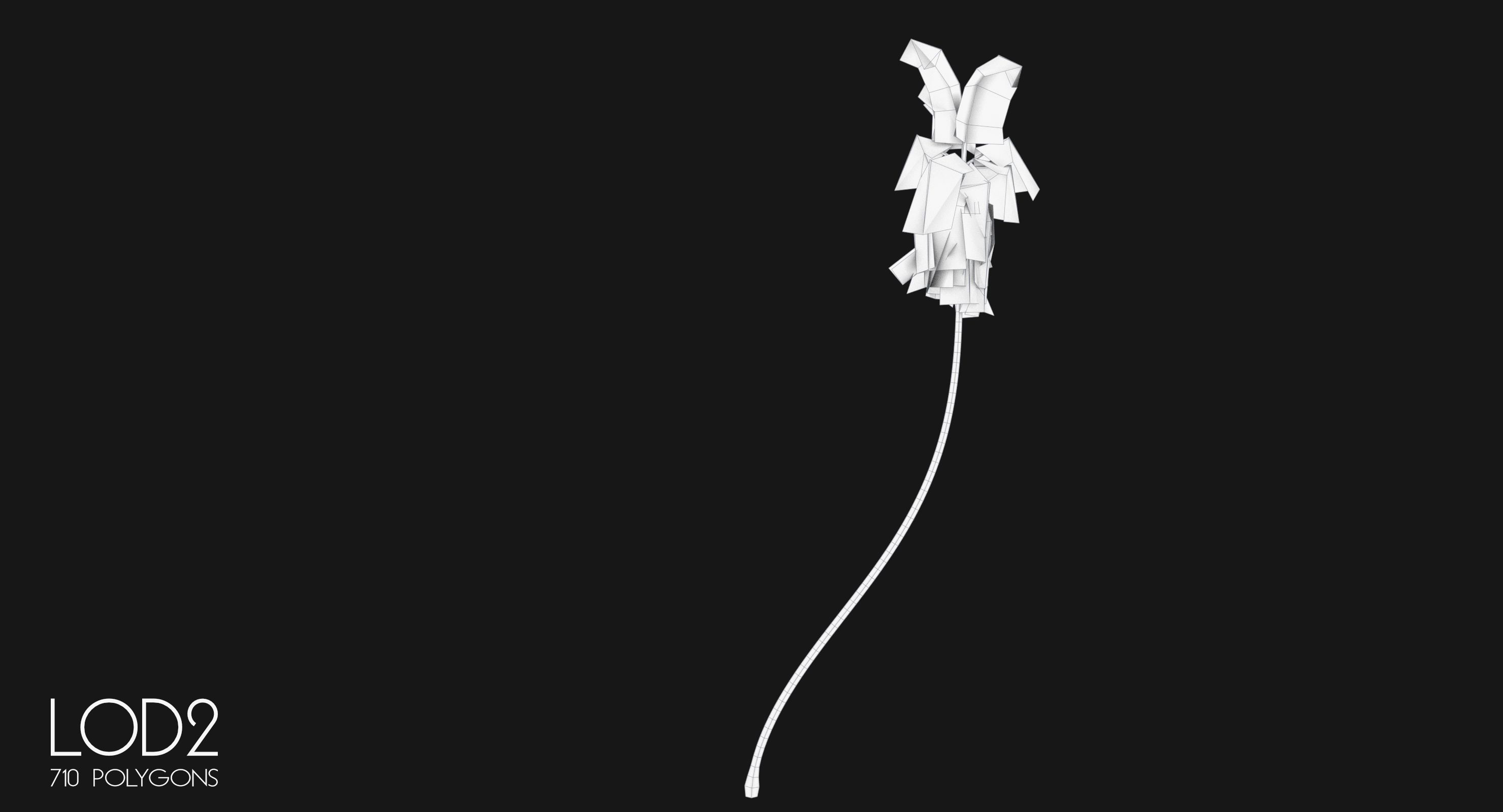 Cocos Nucifera 3698 - Health Collection Low-poly 3D model_17