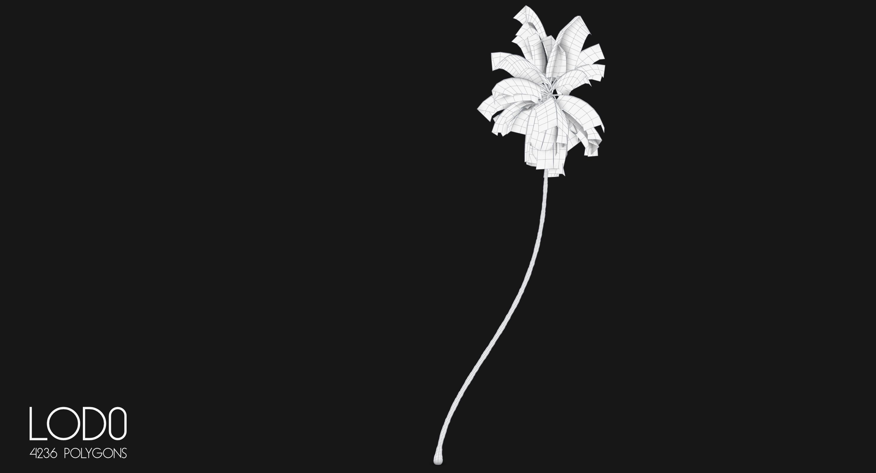 Cocos Nucifera 3698 - Health Collection Low-poly 3D model_6