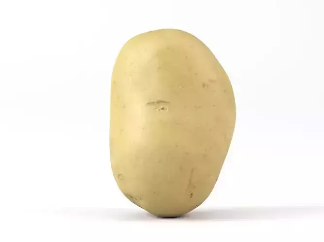 Photorealistic Potato 3D Scan 3D model