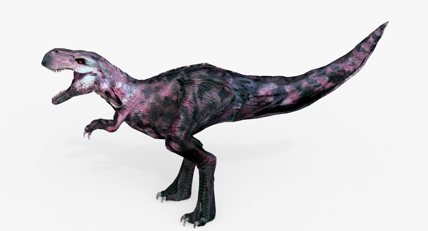 Raptor T-Rex Hybrid Dinosaur Low-poly 3D model_7