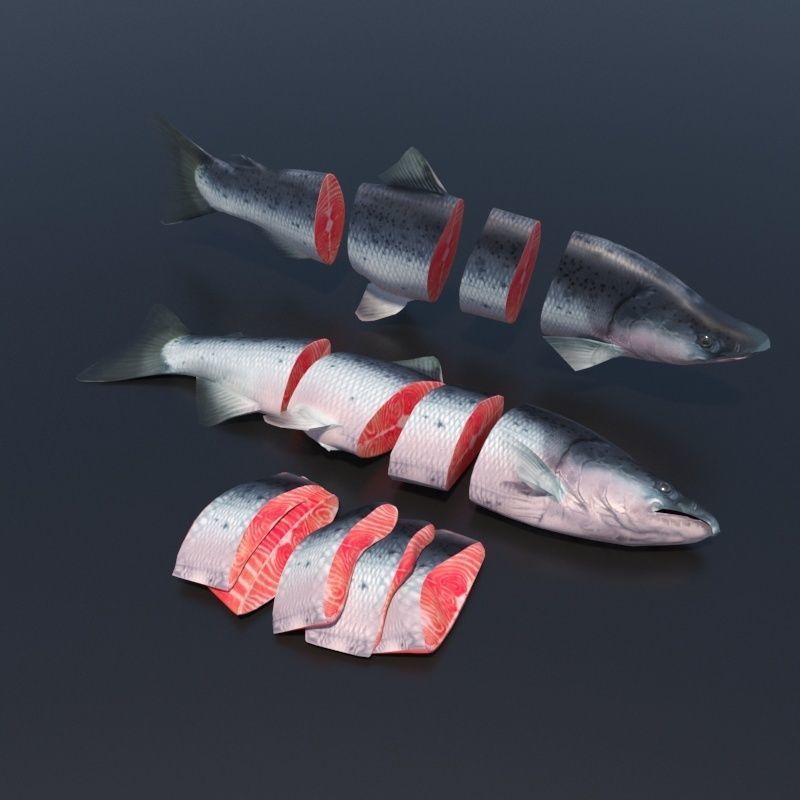 Salmon Plus Animation  Low-poly 3D model_8
