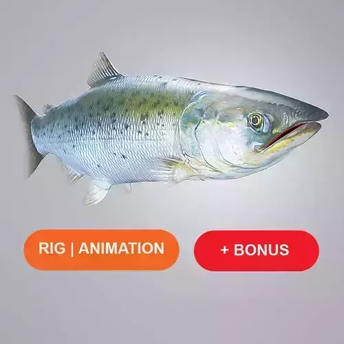 Salmon Plus Animation  Low-poly 3D model