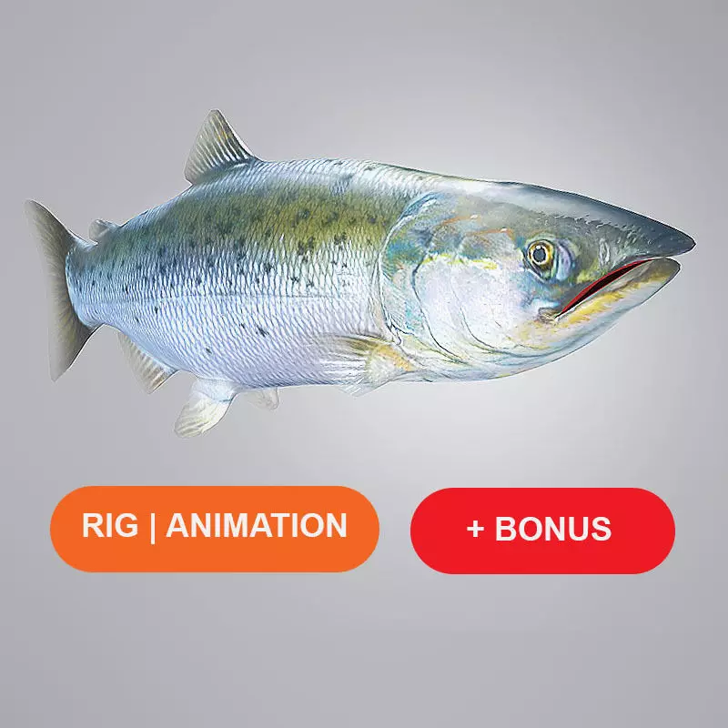 Salmon Plus Animation  Low-poly 3D model_0